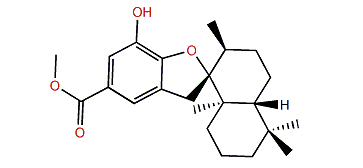 Dysidphenol A